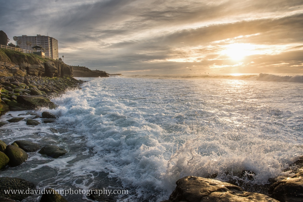 DW3_9936-Edit.jpg