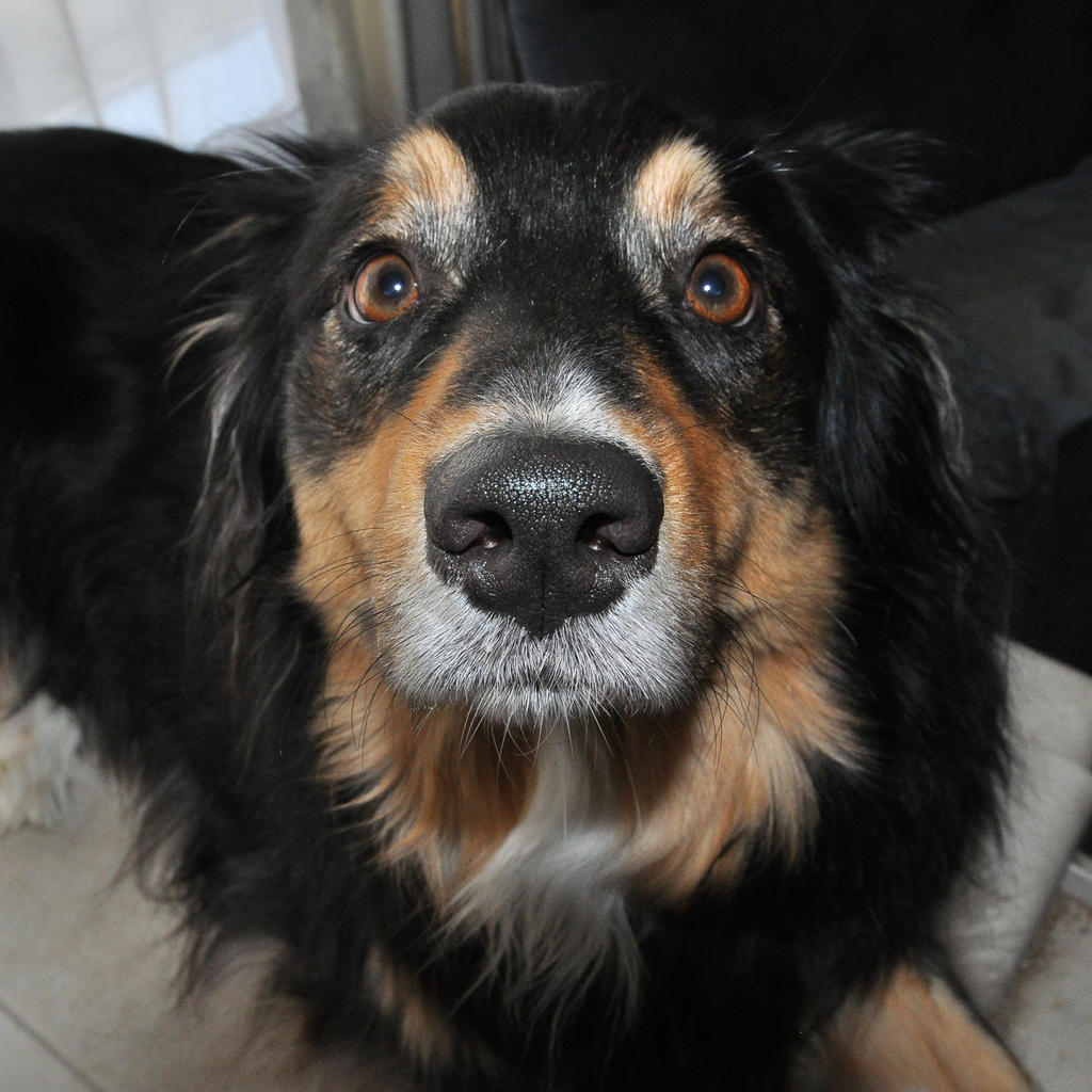 DX 18mm.jpg