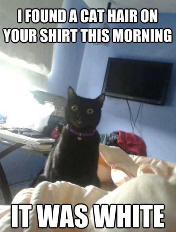 E7FB8849-7F81-4D22-9981-9CD632960F35.jpeg