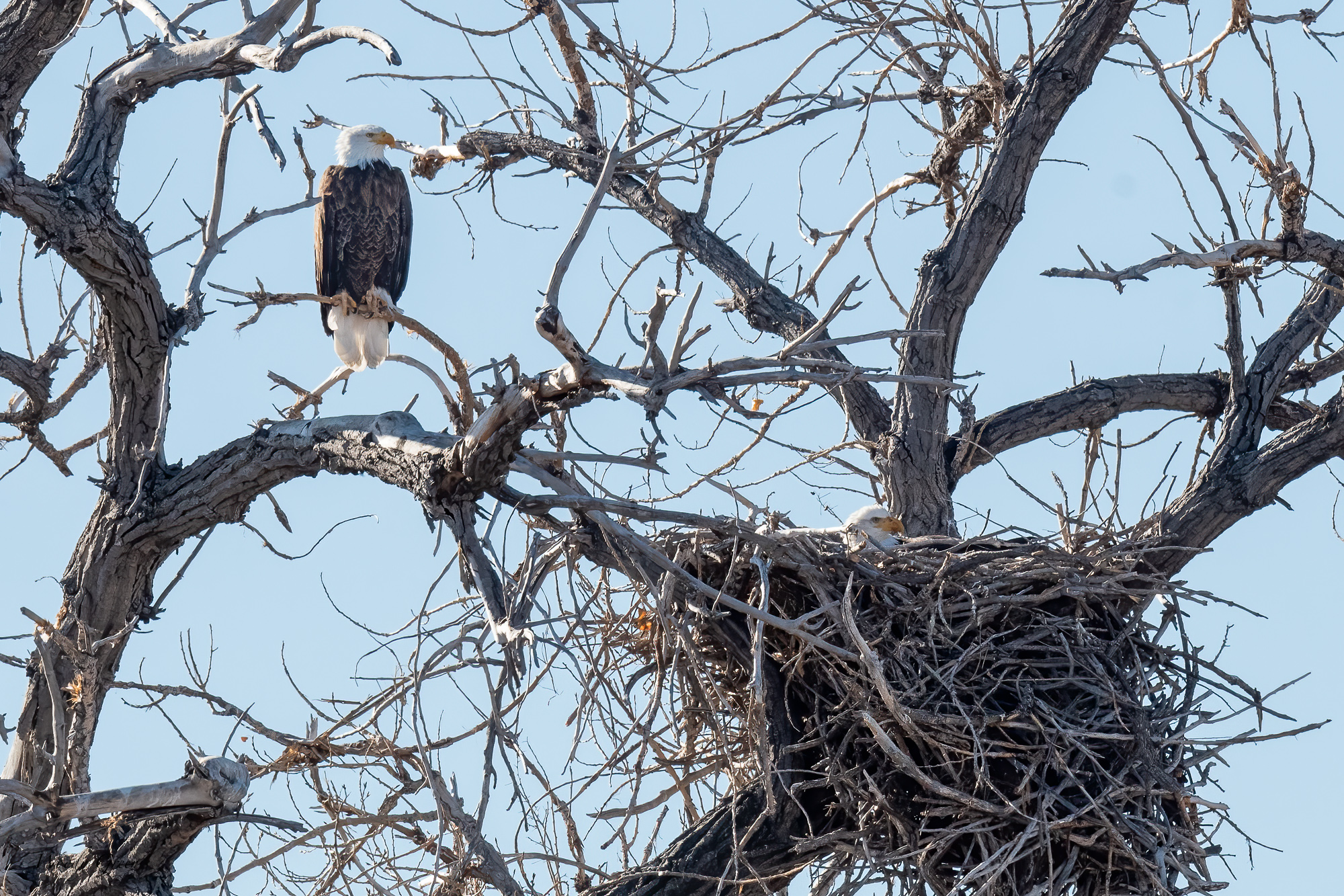 EaglesNest-570.jpg