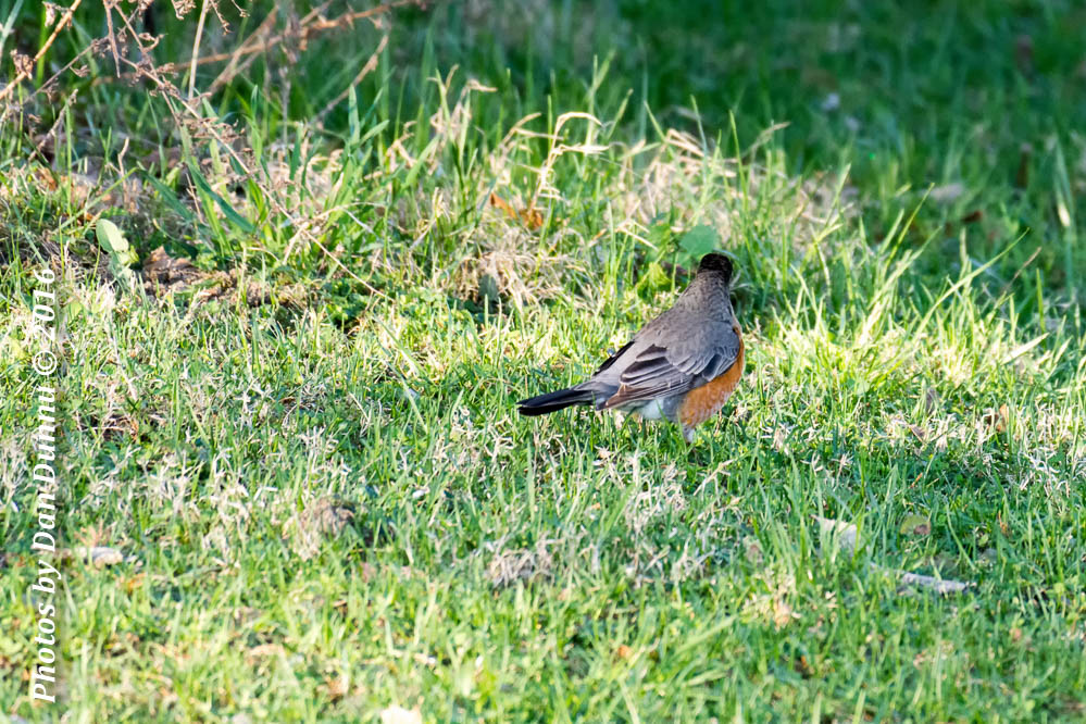 Early Morning-3399-Edit.jpg