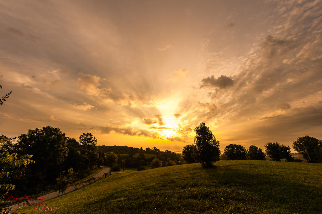 Early Morning-7937.jpg