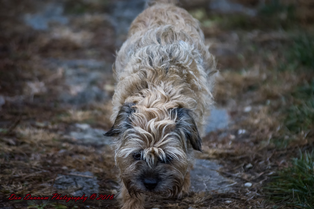 Early Morning Gray-8227-Edit.jpg