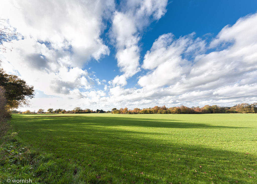 Earth & Sky.jpg