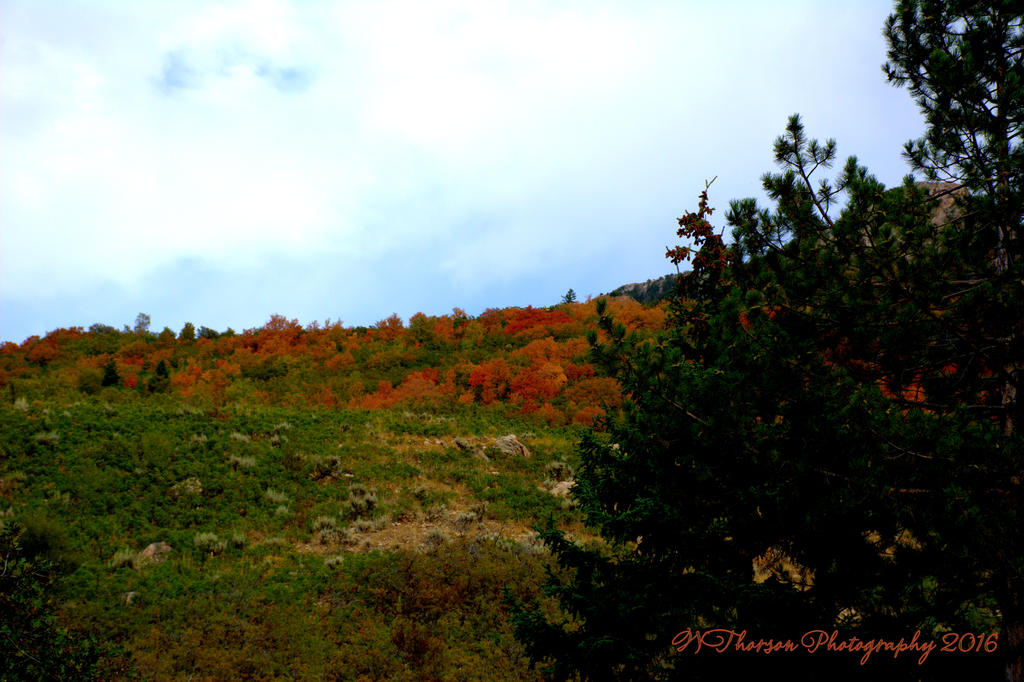 East Salt Lake City Mountains  #3  9-11-2016.jpg