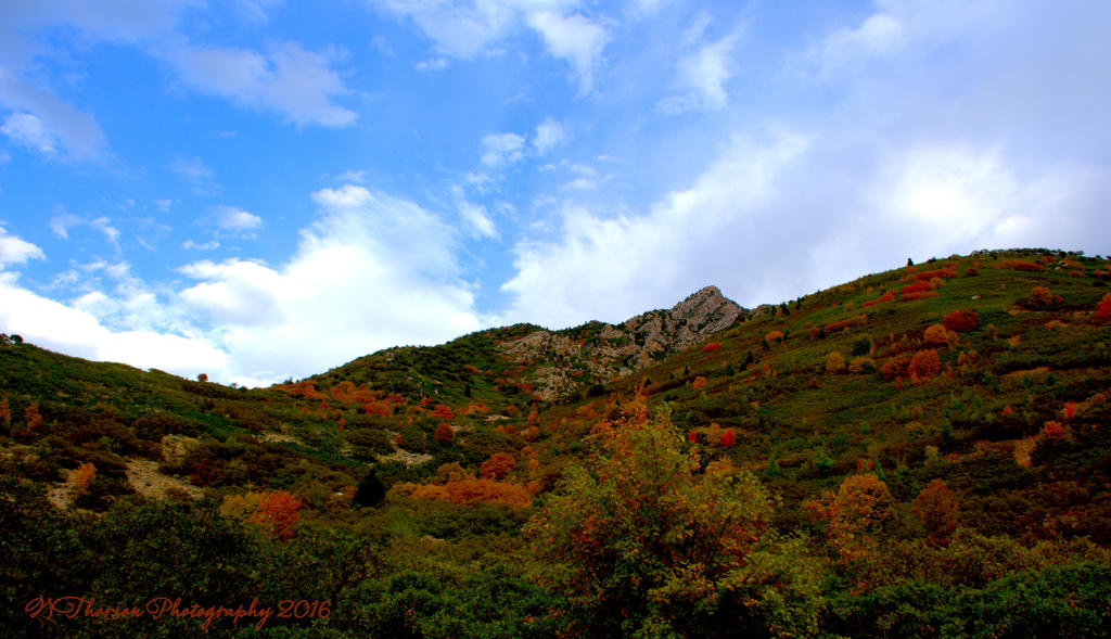 East Salt Lake City Mountains  #4  9-11-2016.jpg