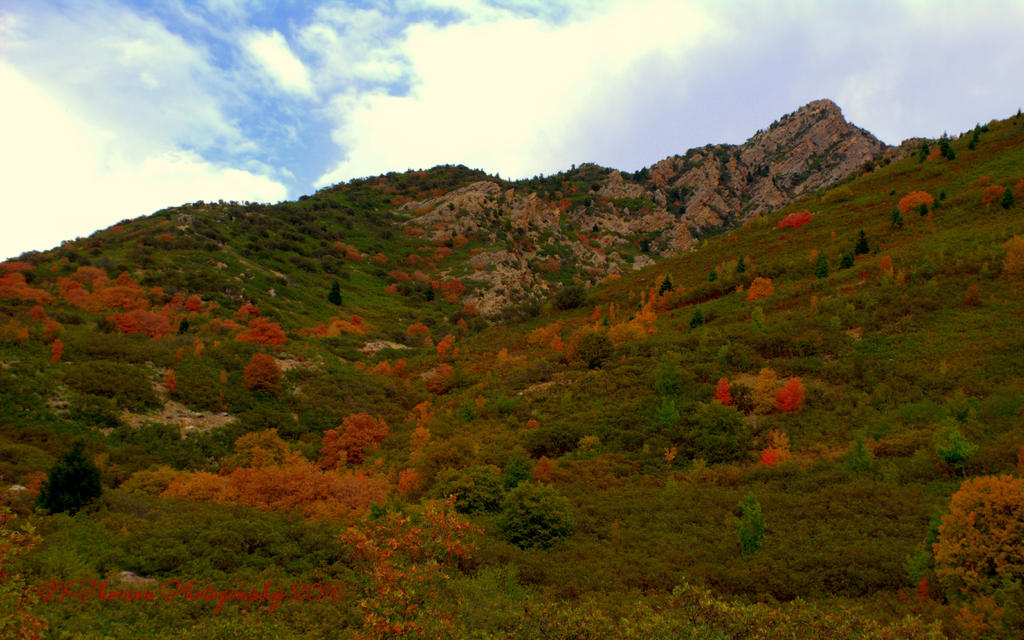 East Salt Lake City Mountains  #5  9-11-2016.jpg