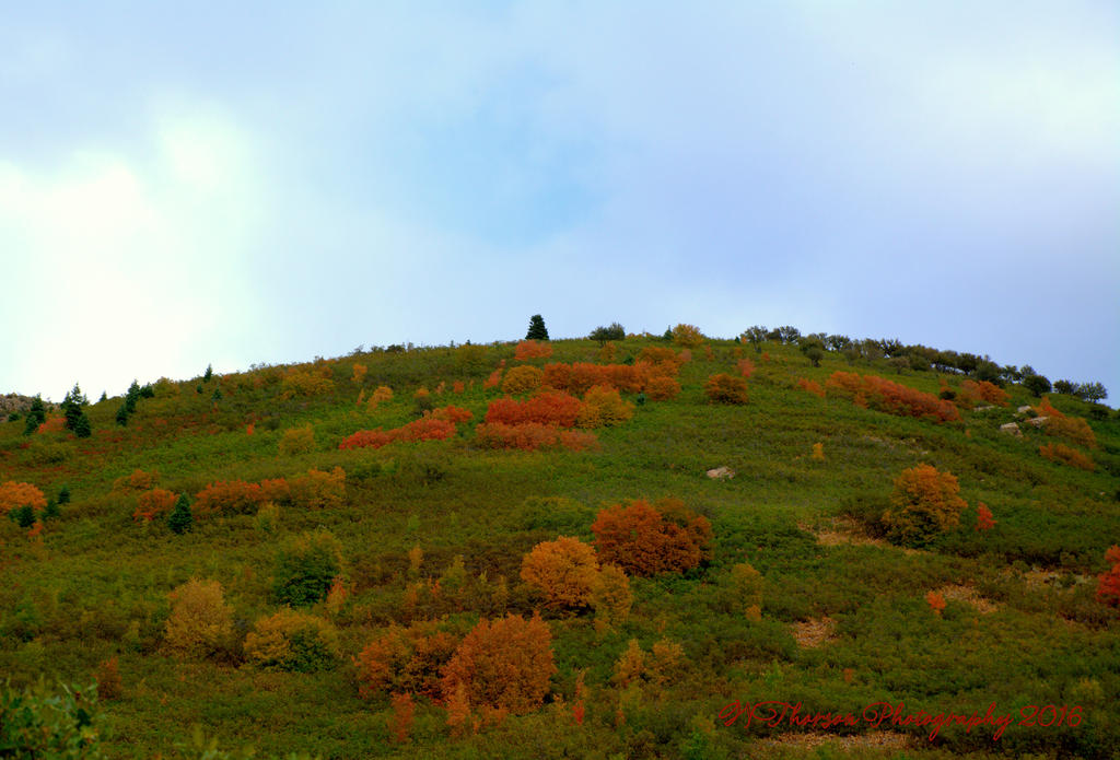 East Salt Lake City Mountains  #6  9-11-2016.jpg
