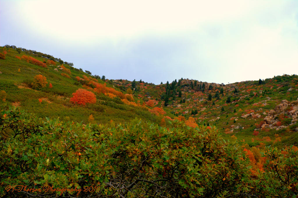 East Salt Lake City Mountains  #7  9-11-2016.jpg