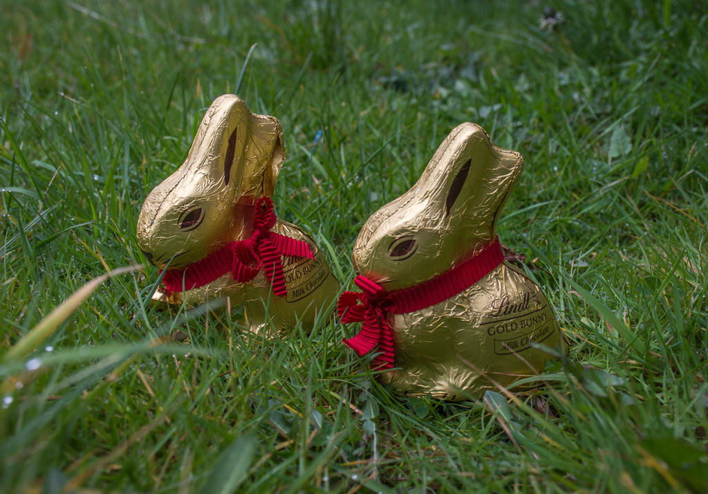 Easter Bunnies.jpg