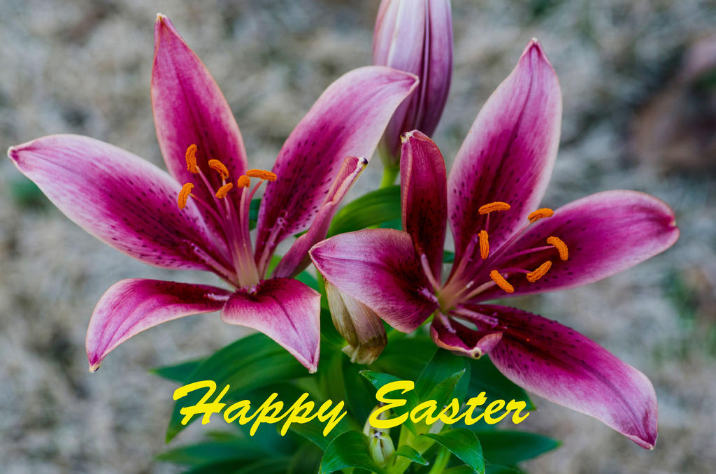 easter.jpg