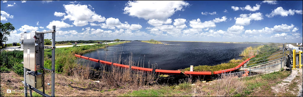 Eastern Edge of the Glades.jpg