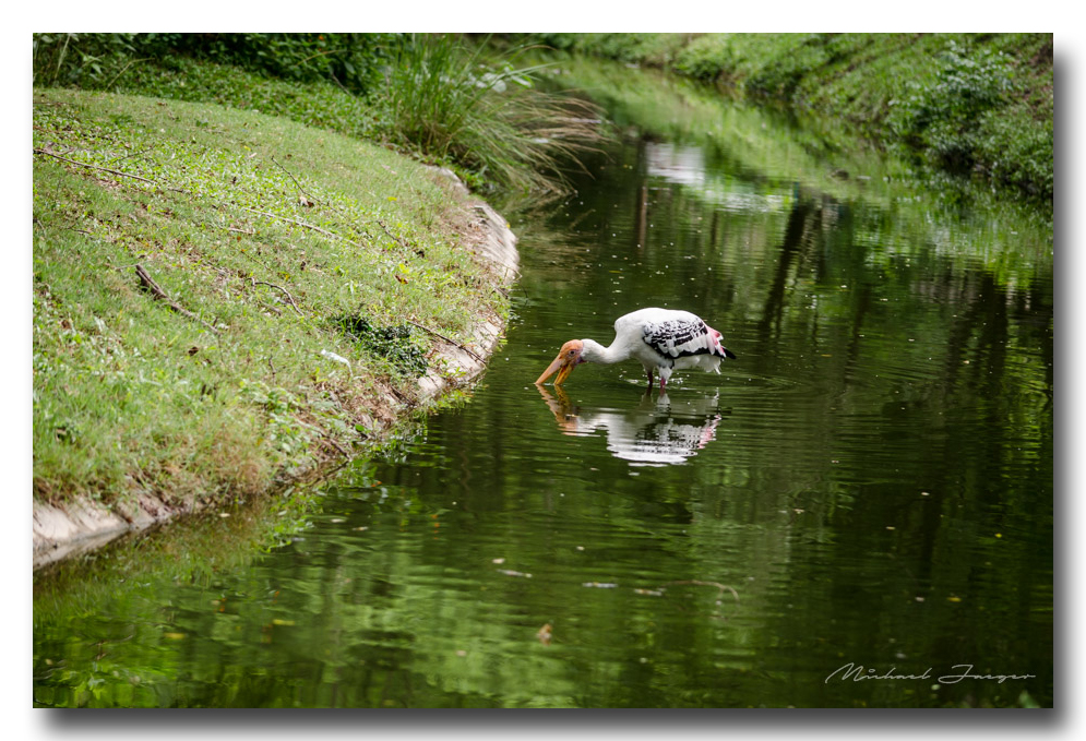 eating-zoo (1).jpg
