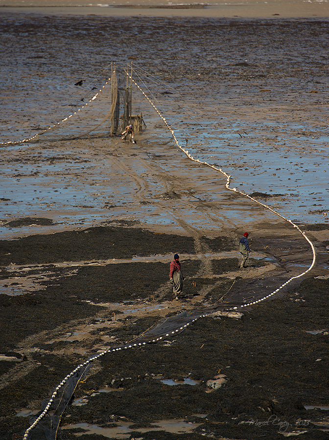 Eel fishermen.jpg