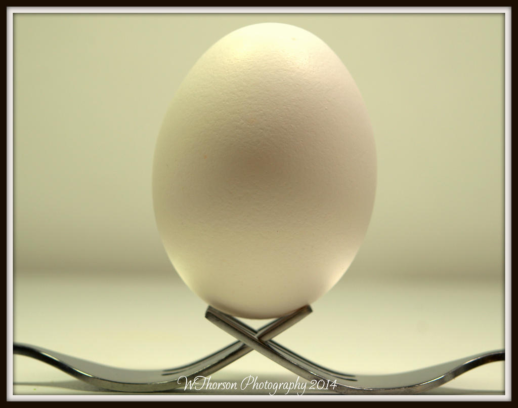 Egg.jpg