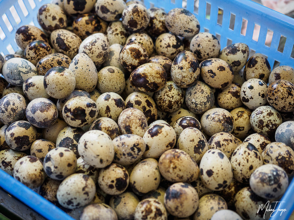 eggs-1.jpg