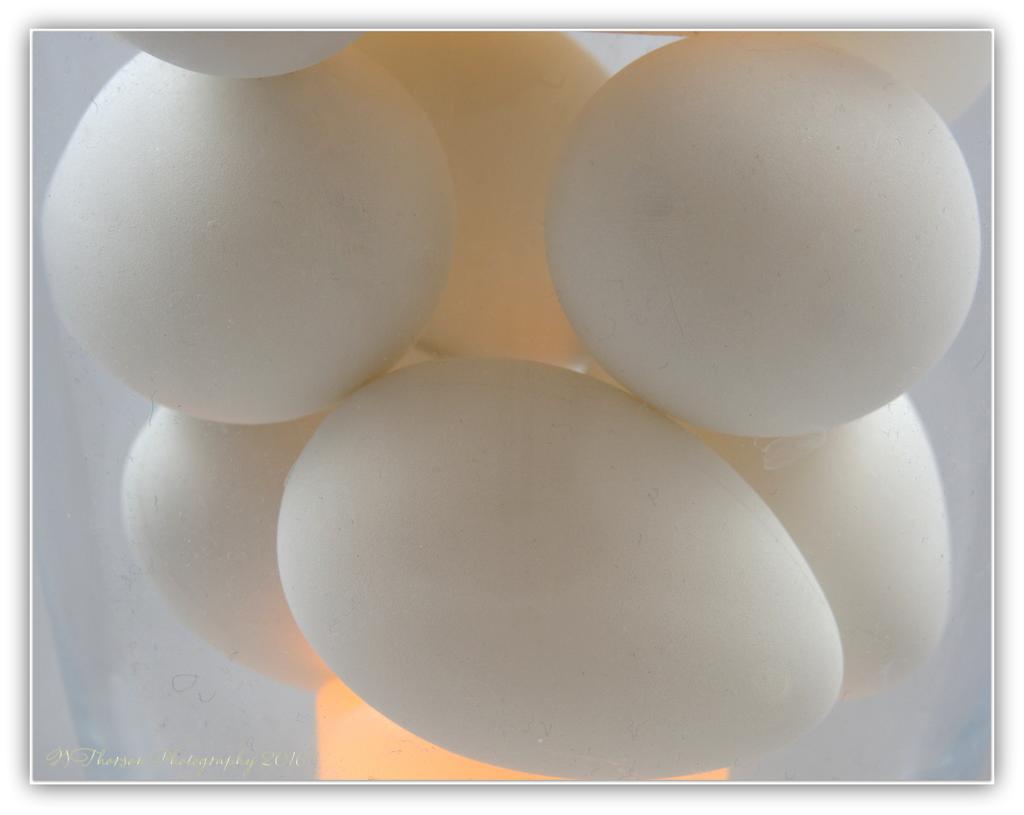 Eggs  5-5-2016.jpg