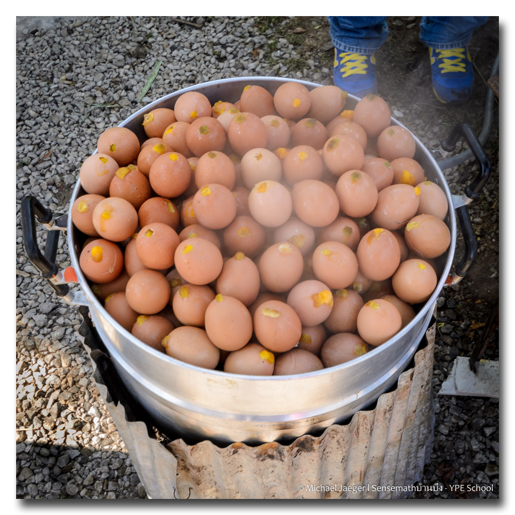 eggs.jpg