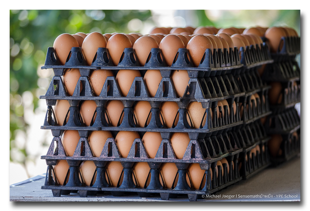 eggs1.jpg