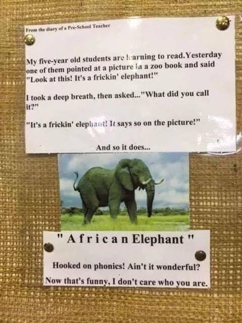 ele.jpg