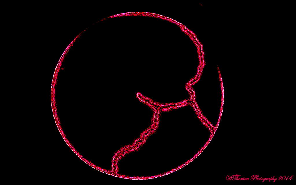 Electric Light.jpg