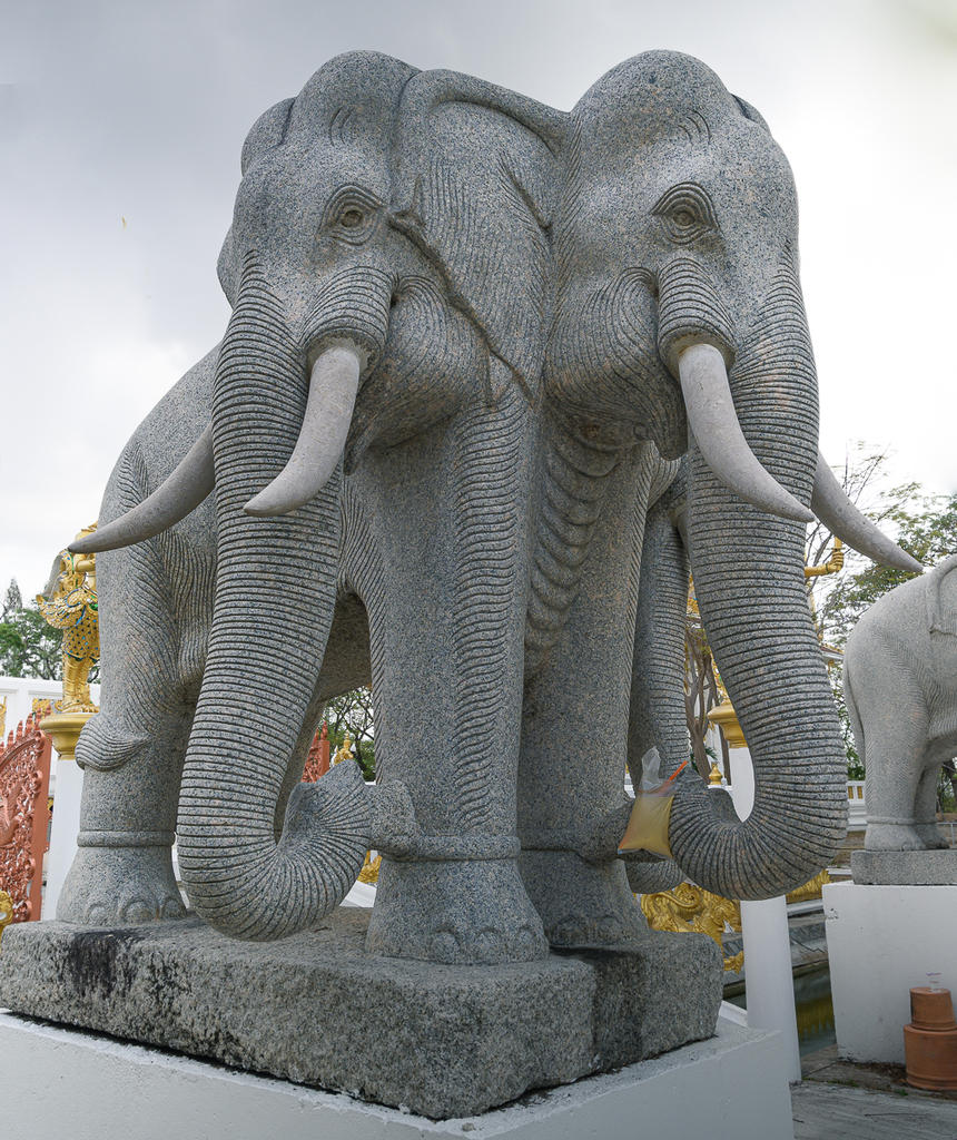elephant-1-2.jpg