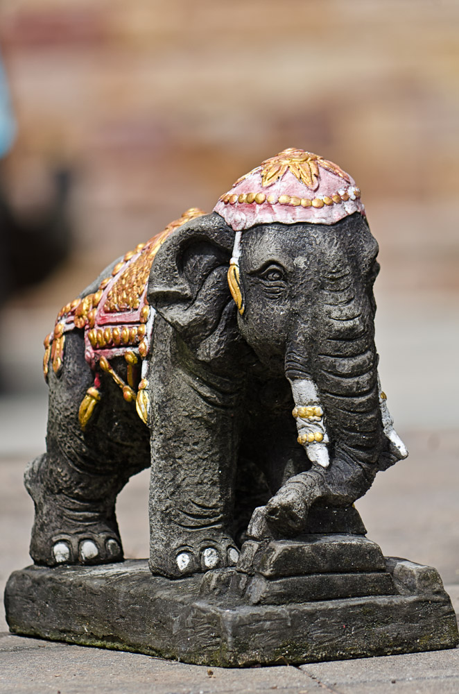 elephant-1.jpg