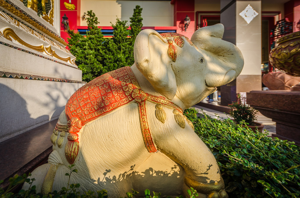 elephant-1.jpg