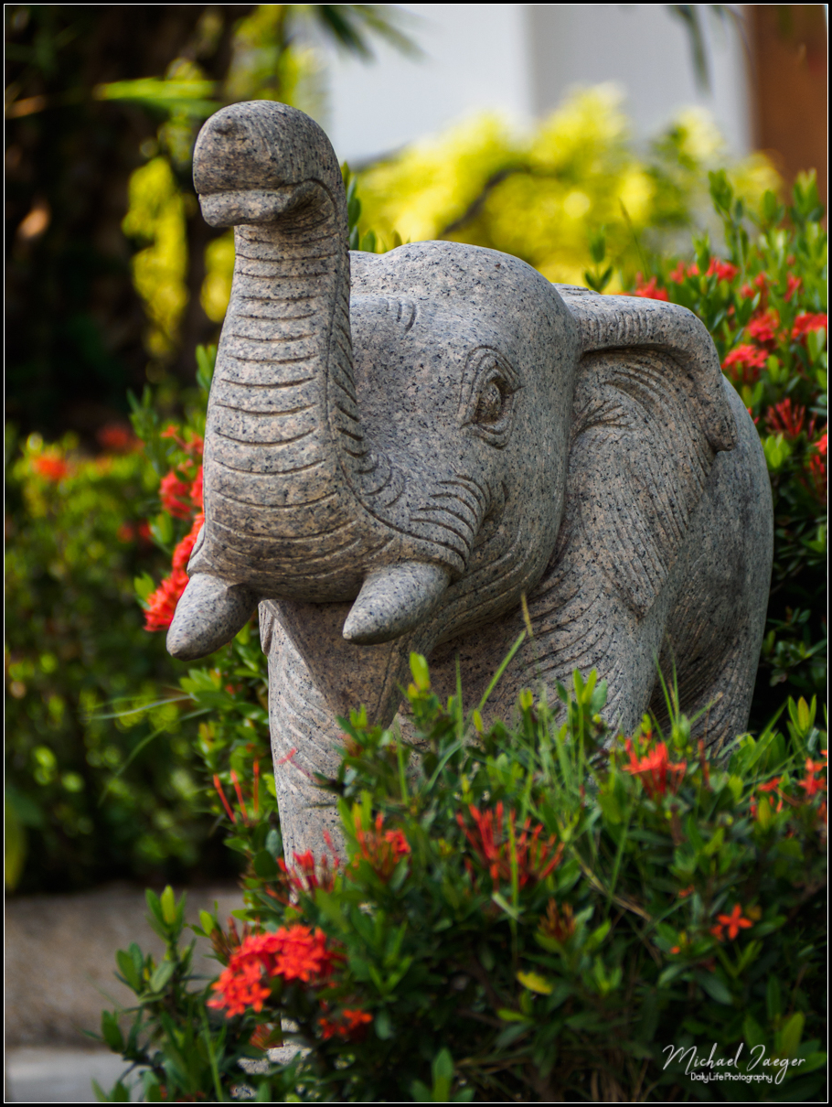 elephant-1.jpg