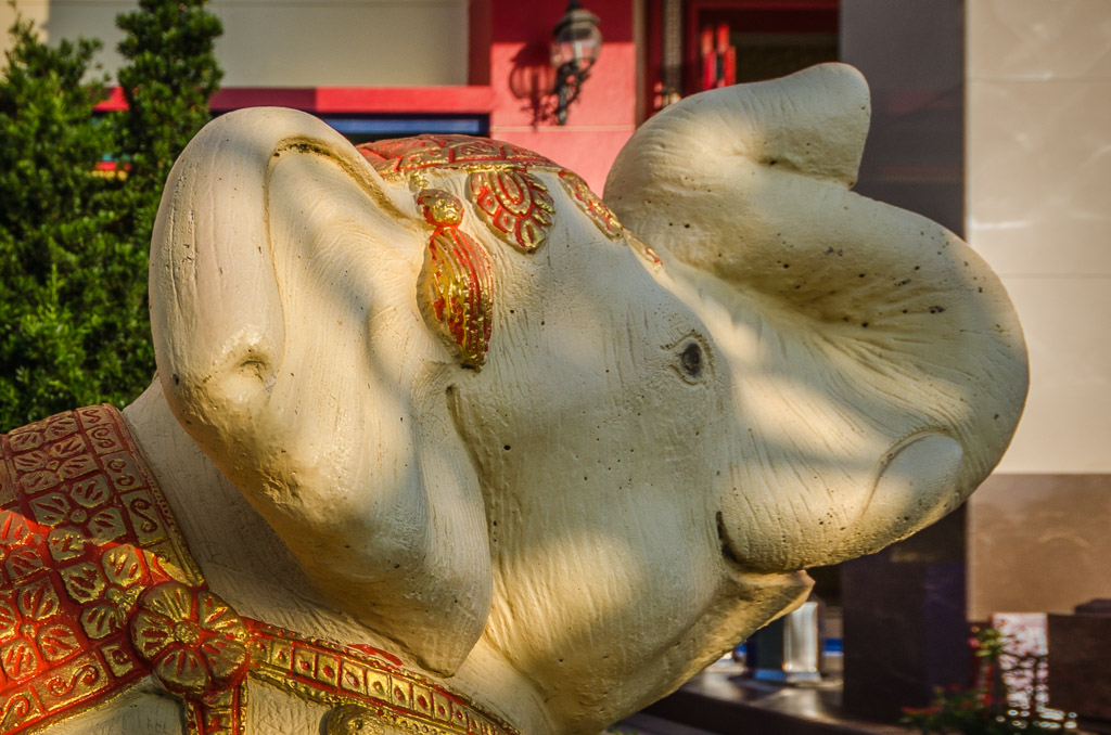 elephant-2.jpg
