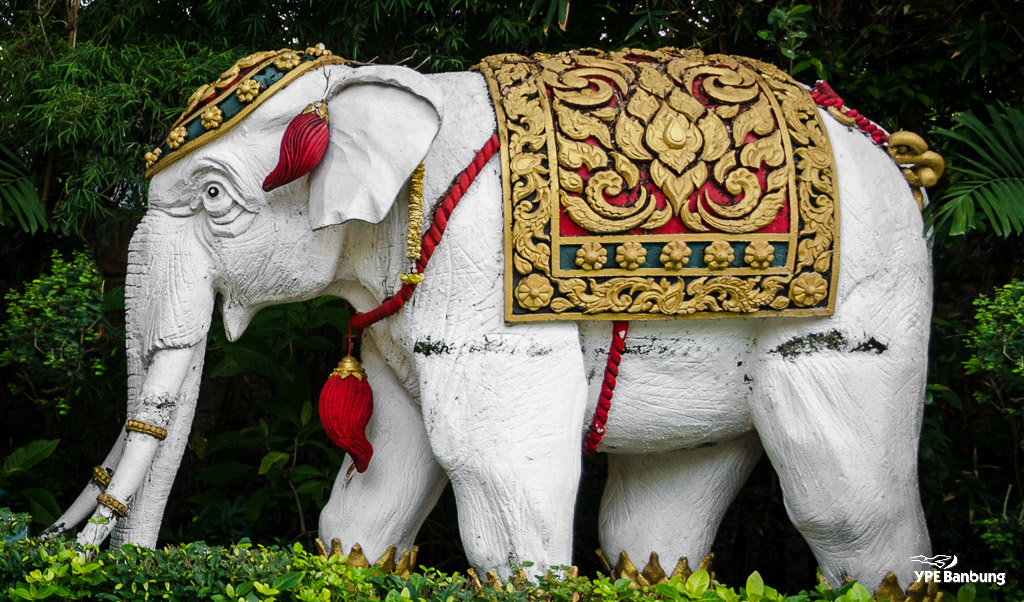 elephant-2.jpg