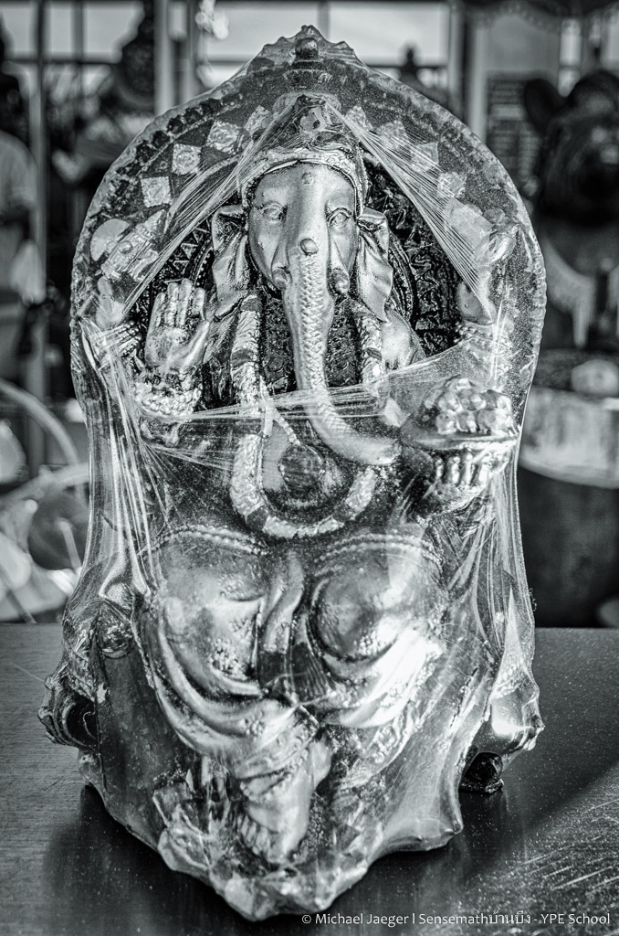 elephant bw.jpg