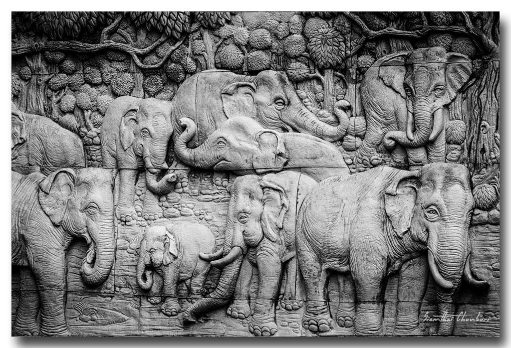 elephants-1.jpg