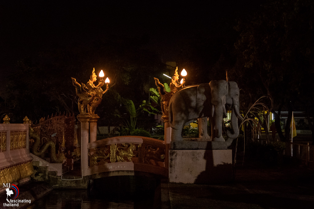 elephants-at-night-1.jpg