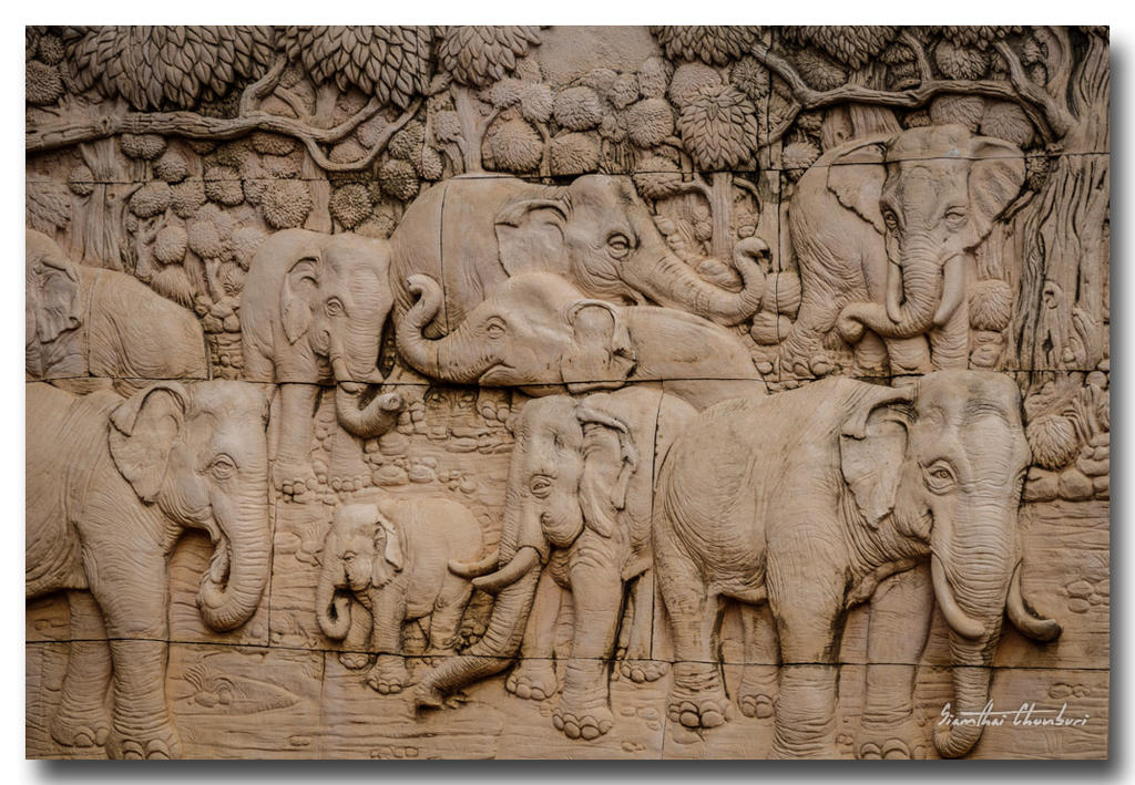 elephants.jpg
