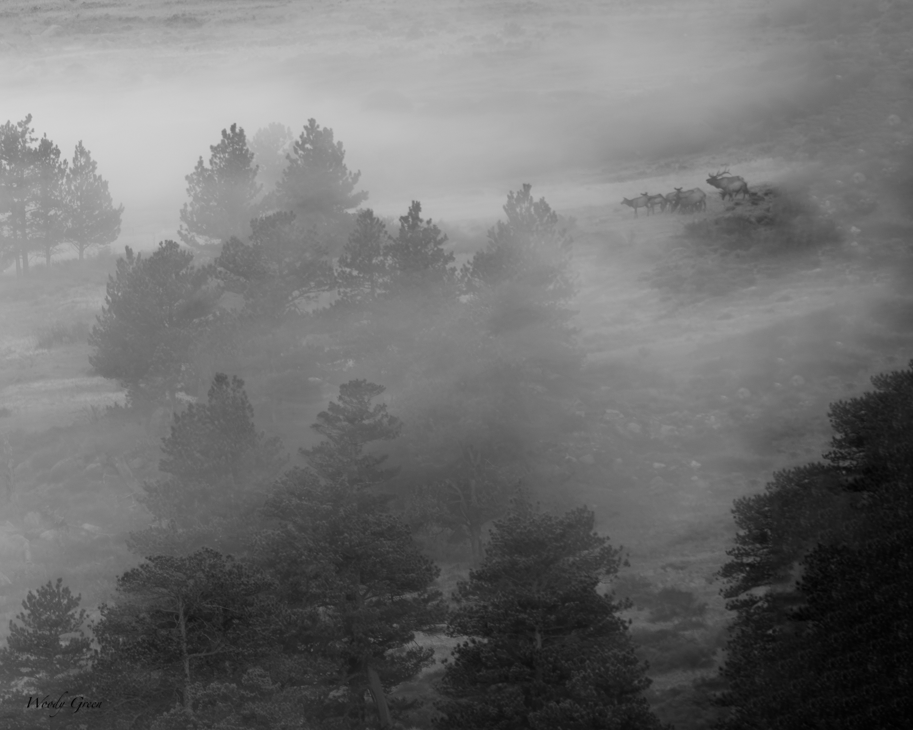 ElkClouds-752.jpg