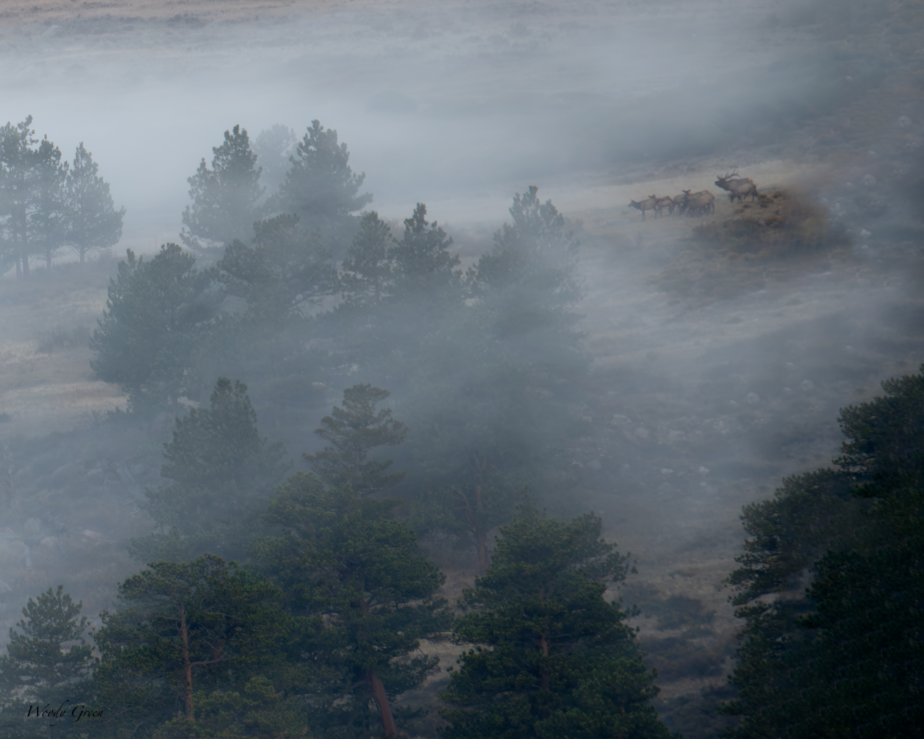 ElkClouds-753.jpg