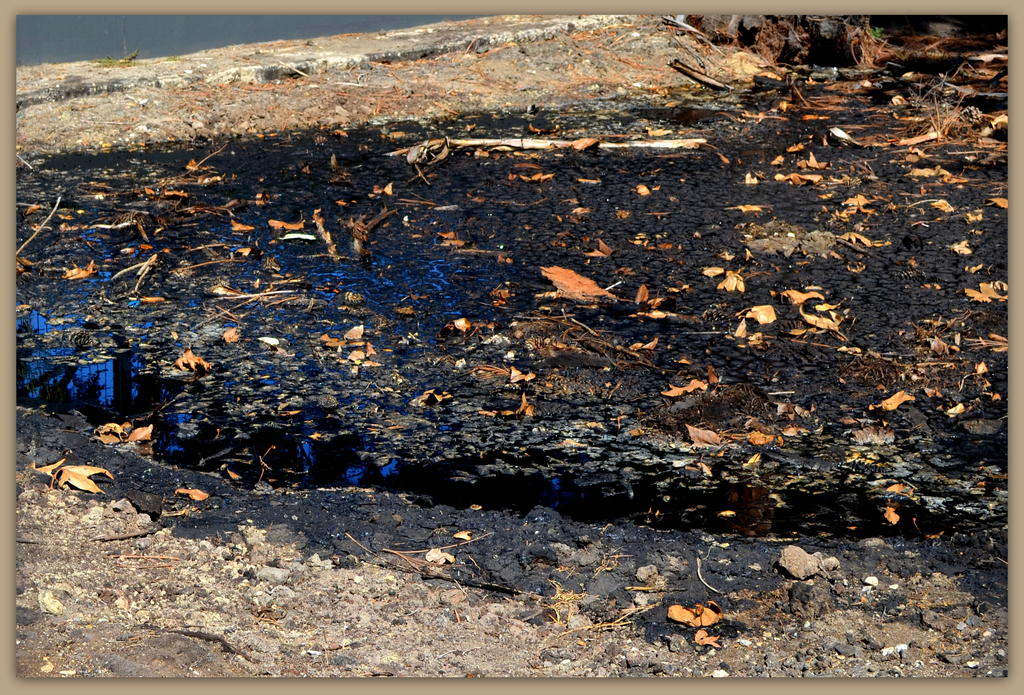 Emerging Tar Pit.jpg