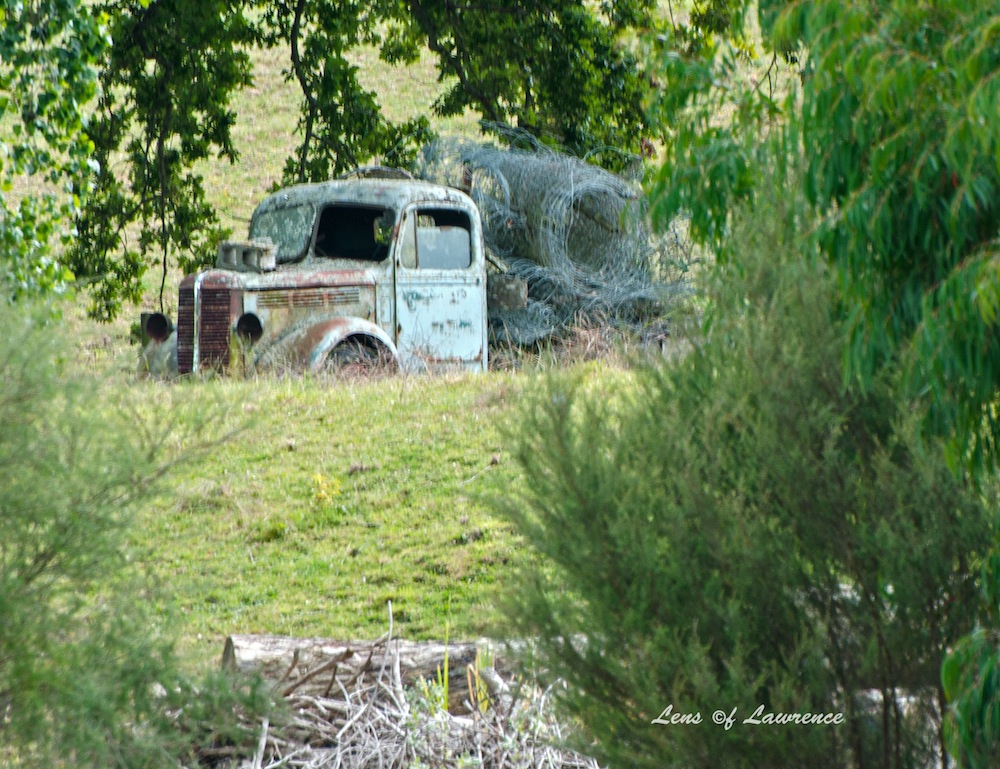 Emerging Truck LOL.jpg