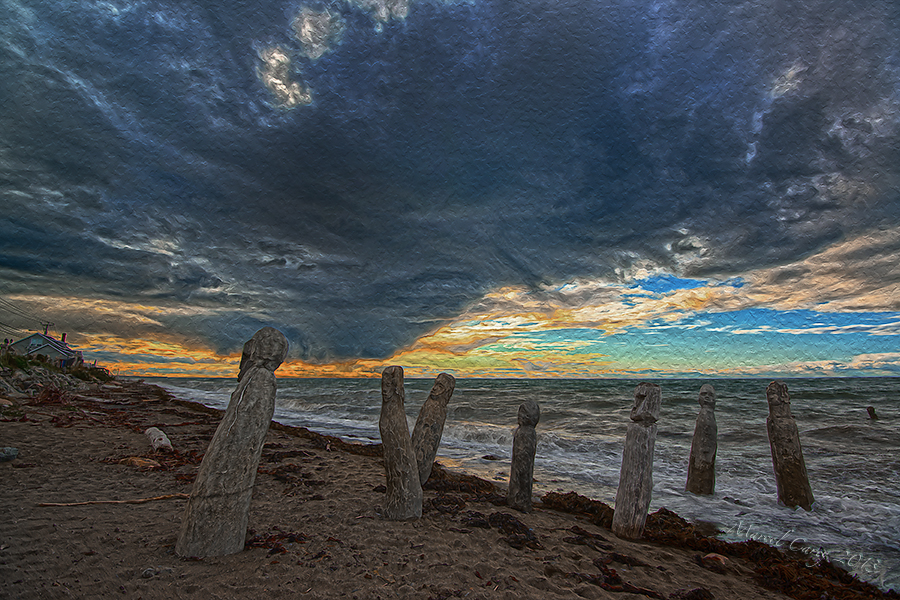 emerging_HDR2.jpg