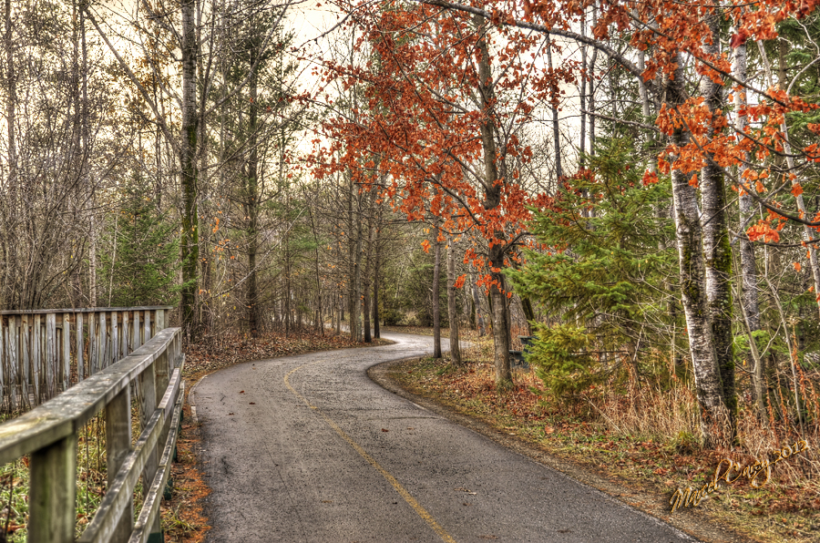 end of fall.jpg