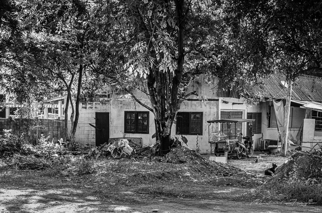 environment-bw-1.jpg