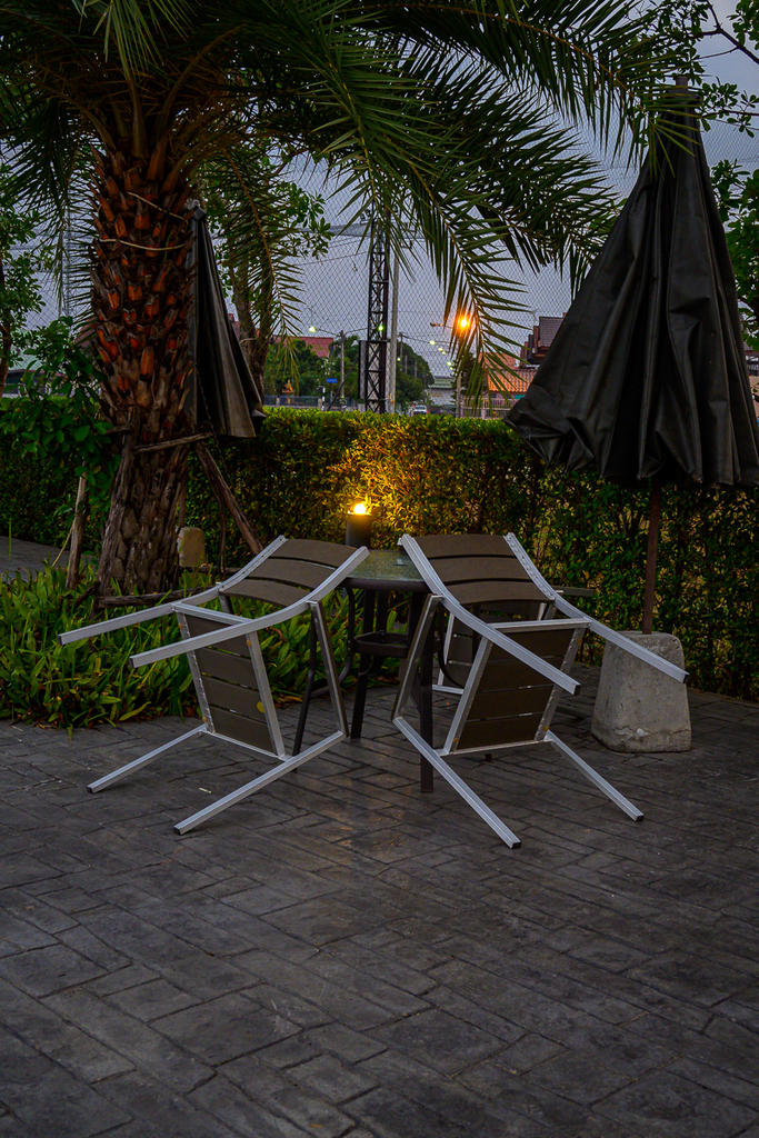 evening-1-2.jpg
