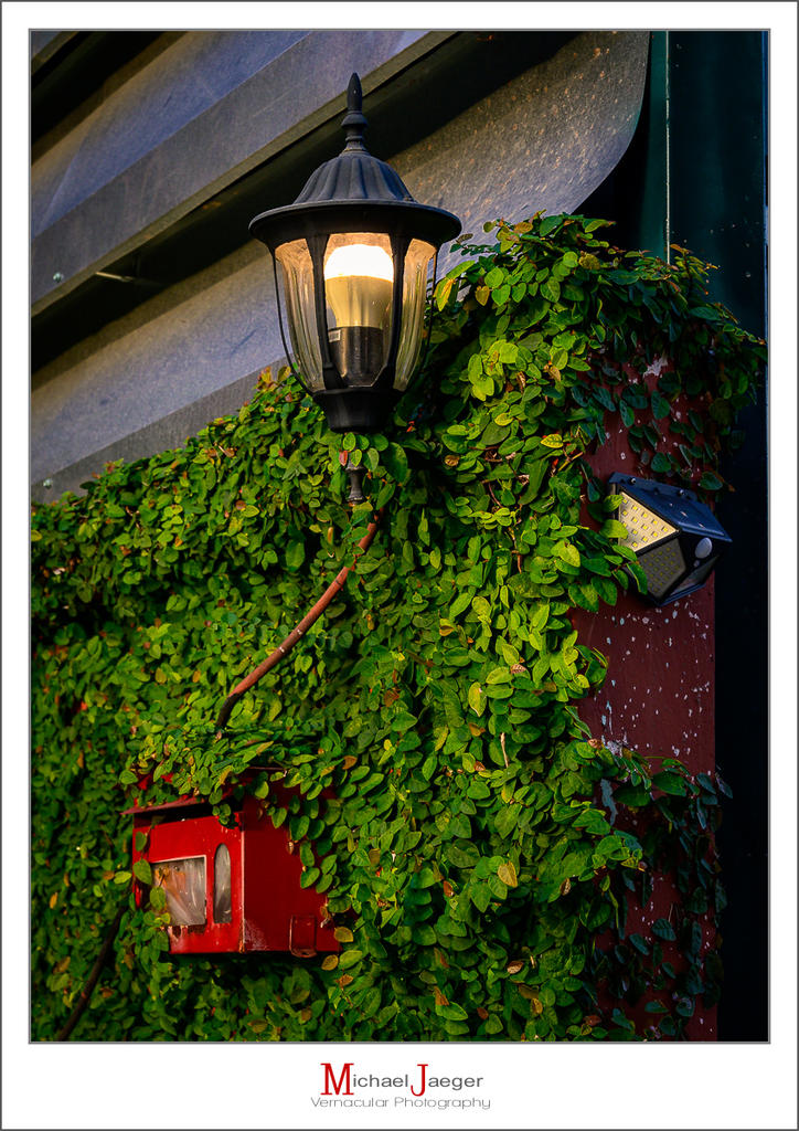 evening-again-1.jpg