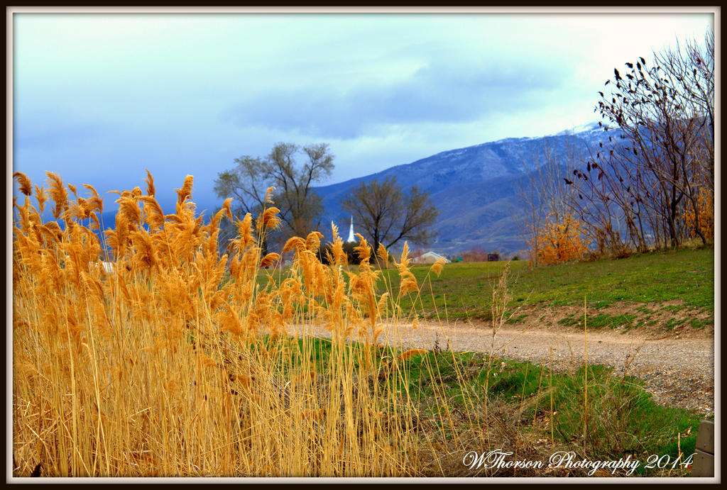 Evening at the Pond.jpg