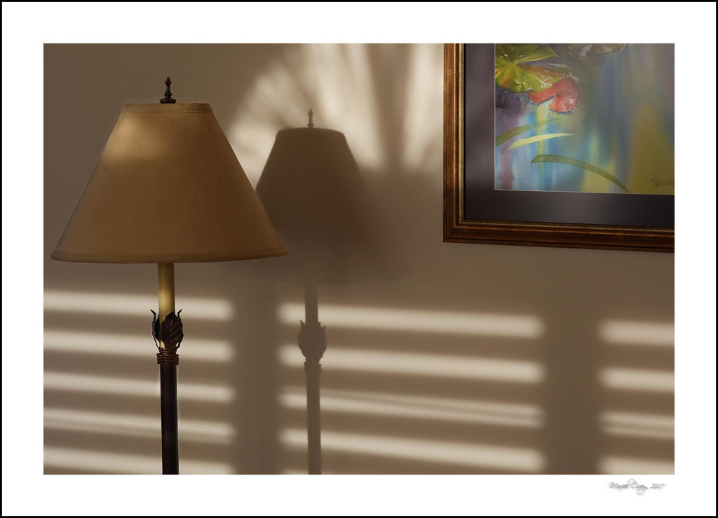 evening light.jpg
