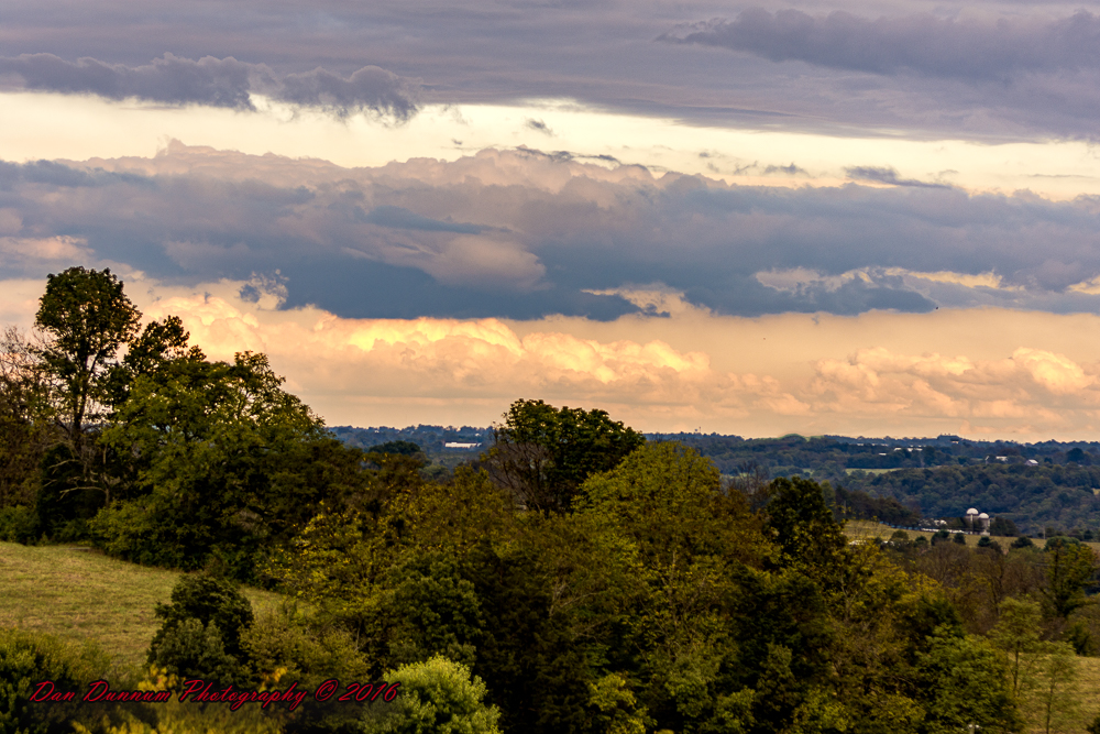Evening walk-4539-Edit.jpg
