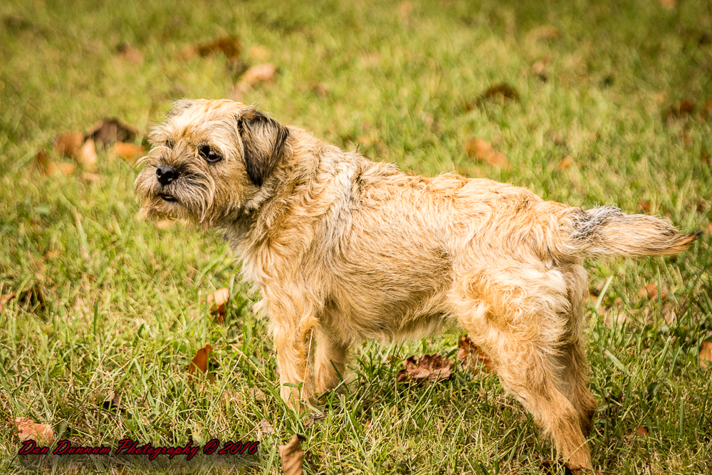Evening walk-4546.jpg