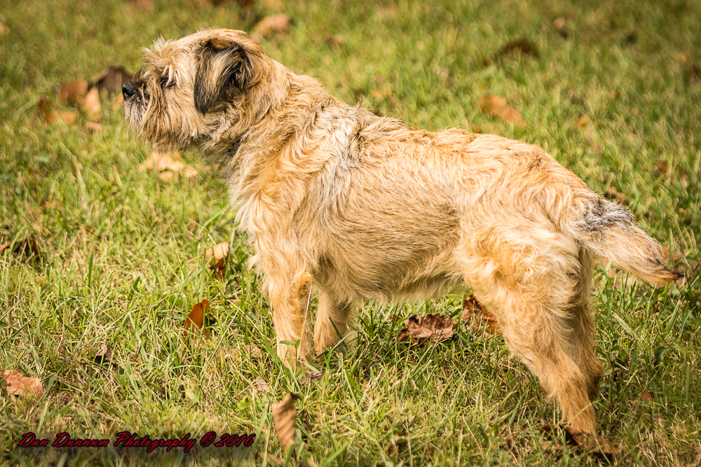 Evening walk-4549.jpg