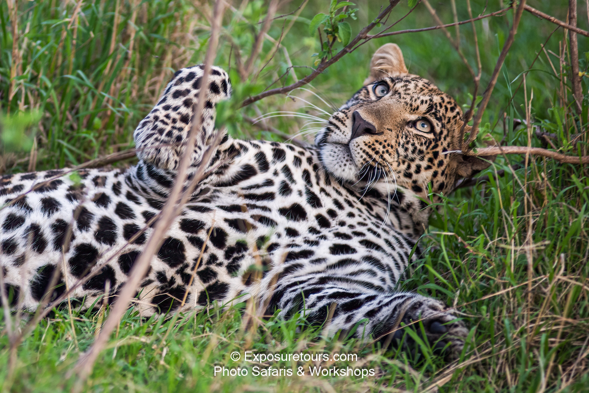 exposuretours_DSC1581.jpg